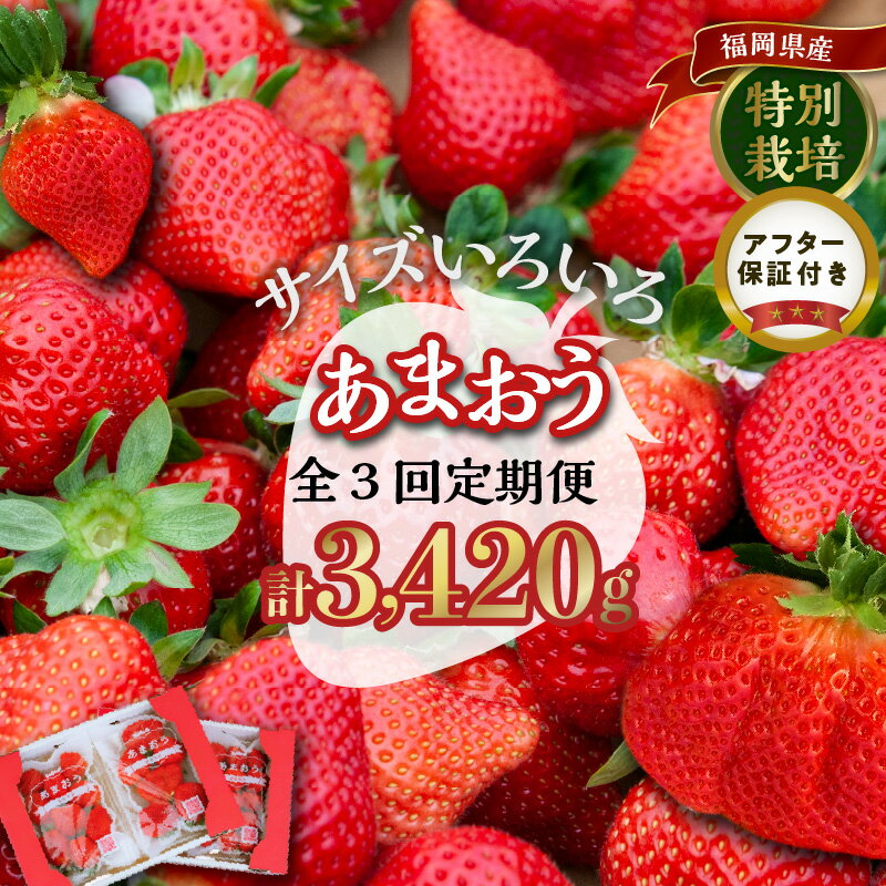 定期便 あまおう いちご 4パック 1140g × 3回 福岡県特産 小玉 特大 サイズ サイズ色々 国産 ストロべリー 果物 フルーツ スイーツ おやつ 冷蔵 特別栽培 有機質肥料 認証 うるう農園 久留米市 お取り寄せ 送料無料