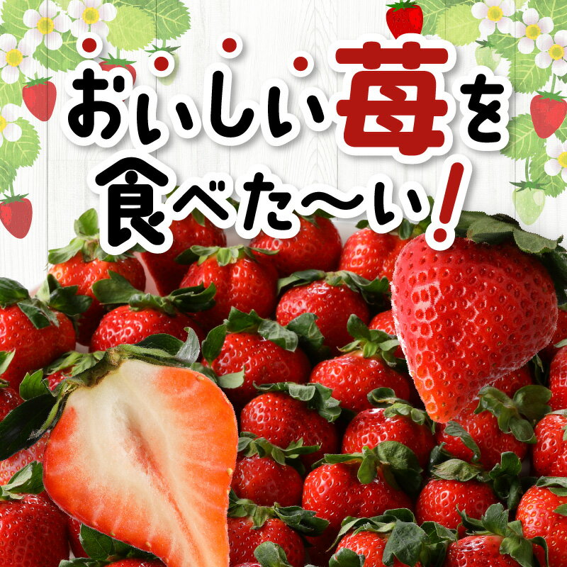 【ふるさと納税】 いちご あまおう 約 280g × 4 パック 計 約1120g 希少 福岡県産 久留米市 フルーツ 果物 果汁 ビタミンC キシリトール カリウム 食物繊維 栄養 風邪予防 アンチエイジング スイーツ ヨーグルト デザート ジャム いちご煮 冷蔵 お取り寄せ 送料無料 サムネイル3