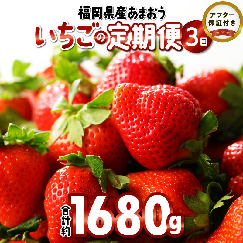 いちご 先行予約 定期便 3回 あまおう 約280g × 2パック 合計 約 1680g 2026年2月より順次発送 イチゴの王様 果汁 栄養 風邪予防 健康 アンチエイジング 美容 福岡県産 果物 フルーツ スイーツ 久留米市 お取り寄せ 送料無料