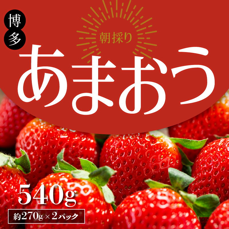 【ふるさと納税】【12月中旬より順次発送】 農家直送 朝採れ 新鮮 いちご 博多 あまおう 約 270g × 2パック 苺専用 パッケージ 包装 味 鮮度 妥協なし 生食 スイーツ ジュース 家族 贈答用 パーティー グルメ フルーツ 果物 お取り寄せ 福岡県 久留米市 送料無料 サムネイル3