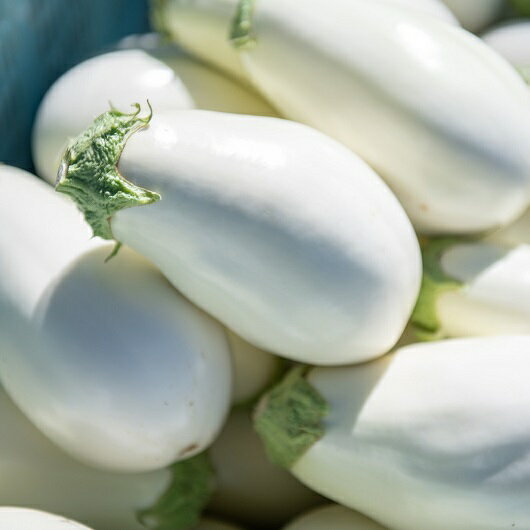 【ふるさと納税】宝石野菜 白なす 9個 果肉 柔らかい アクが少ない トロトロ 舌触り 野菜 揚げ焼き バター焼き 田楽 煮浸し 揚げ浸し 浅漬け 味噌汁 天ぷら 炒め物 常温配送 国産 ナス 夏野菜 お取り寄せ 福岡県 久留米市 送料無料 - 画像3