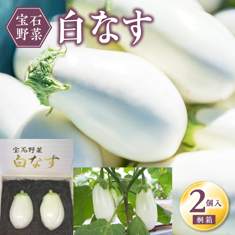 宝石野菜 白なす 桐箱 2個入 大きい 果肉 軟らかく アクが少ない 癖がない 味が絶品 女性の顔が隠れるくらい 揚げナス 煮浸し めんつゆ トロトロ 珍しい野菜 珍しい茄子 エイチアイ株式会社 お取り寄せ ギフト 久留米市 送料無料