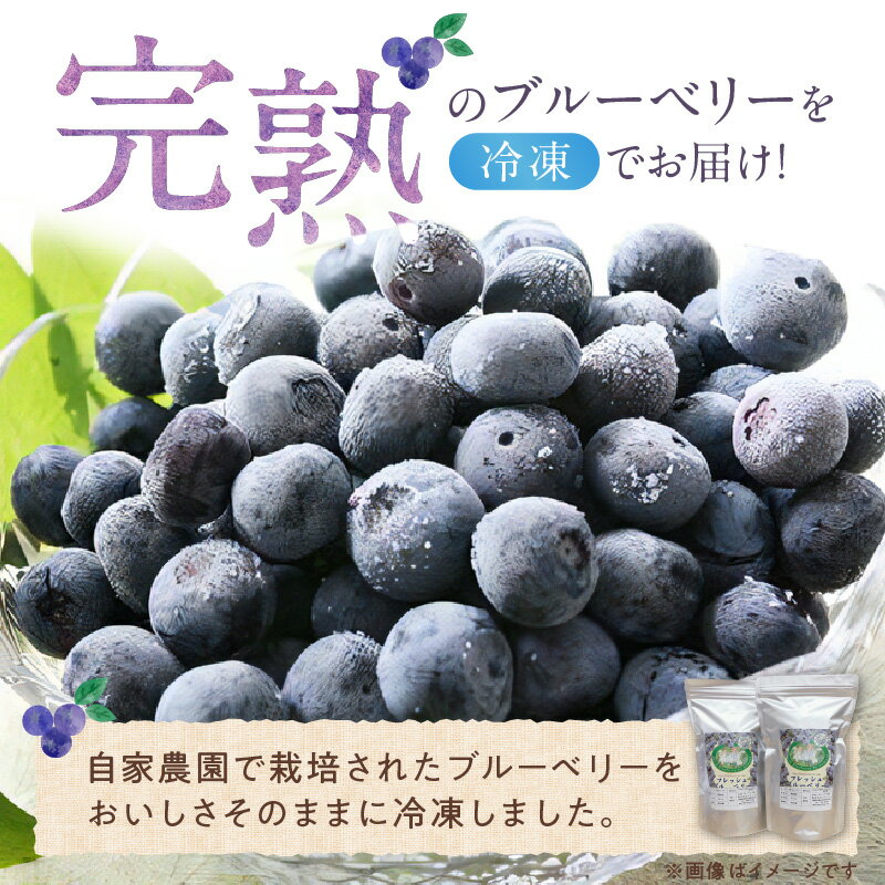 【ふるさと納税】冷凍 ブルーベリー 1kg 完熟 自家農園 ミキサー アイス ヨーグルト シャーベット スムージー アントシアニン 疲れ目 腸内環境 国産 ジャム レシピ 冷凍フルーツ 果物 フルーツ お取り寄せ くだものお取り寄せ 福岡県 久留米市 送料無料 サムネイル2