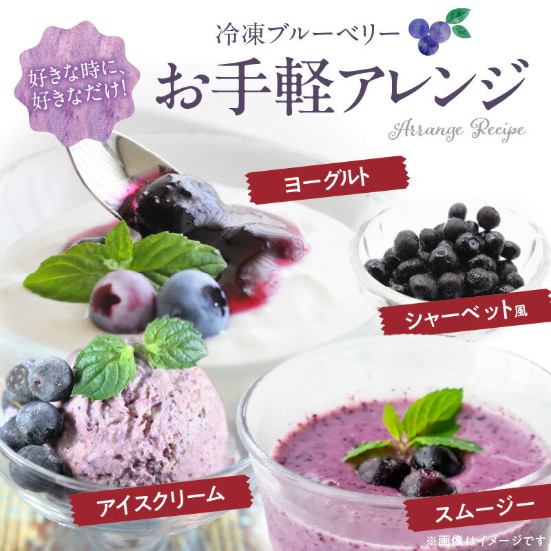 【ふるさと納税】冷凍 ブルーベリー 1kg 完熟 自家農園 ミキサー アイス ヨーグルト シャーベット スムージー アントシアニン 疲れ目 腸内環境 国産 ジャム レシピ 冷凍フルーツ 果物 フルーツ お取り寄せ くだものお取り寄せ 福岡県 久留米市 送料無料 サムネイル3