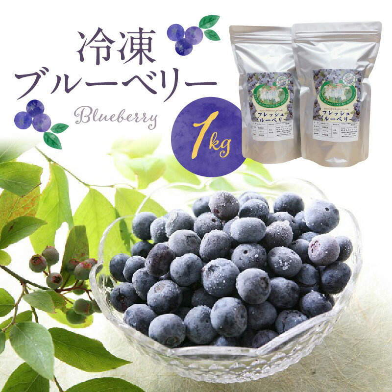 冷凍 ブルーベリー 1kg 完熟 自家農園 ミキサー アイス ヨーグルト シャーベット スムージー アントシアニン 疲れ目 腸内環境 国産 ジャム レシピ 冷凍フルーツ 果物 フルーツ お取り寄せ くだものお取り寄せ 福岡県 久留米市 送料無料