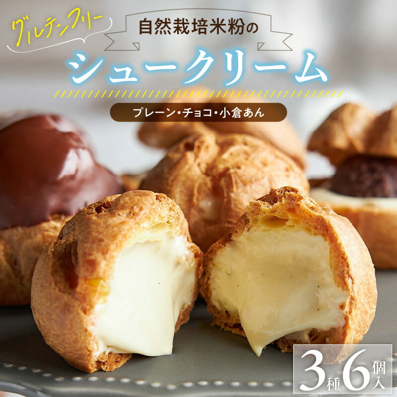 自然栽培 米粉 シュークリーム 3種 × 2個 計 6個 セット プレーン チョコ 小倉あん 濃厚 カスタードクリーム 優しい 甘さ オーガニックチョコ 自家製 あんこ 特製 クリーム スイーツ デザート お取り寄せ 福岡県 久留米市 送料無料