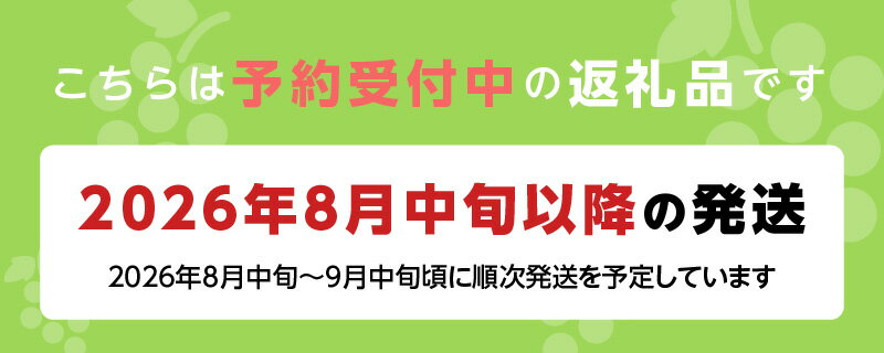 【ふるさと納税】【2026年8月より順次発送】シャインマスカット 1房 500g以上 九州 温暖 気候 活かす 農家 こだわり ご家庭用 先行受付 皮ごと食べられる 上品 甘さ フルーツ 果実 果物 ぶどう マスカット デザート おやつ お取り寄せ 福岡県 久留米市 送料無料 サムネイル2