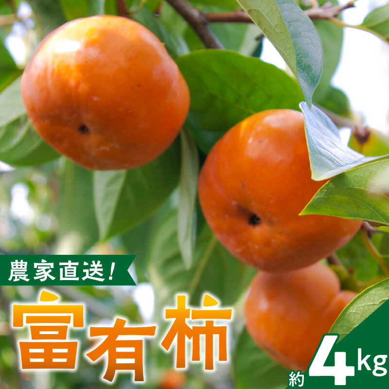 農園直送 富有柿 約 4kg 田主丸地域 旬 柿 田主丸町観光柿部会 農園 直送 国産 九州産 田主丸町産 秋の味覚 フルーツ 果物 旬のフルーツ デザート 食品 食べ物 常温 お取り寄せ お取り寄せフルーツ 福岡県産 久留米市 送料無料