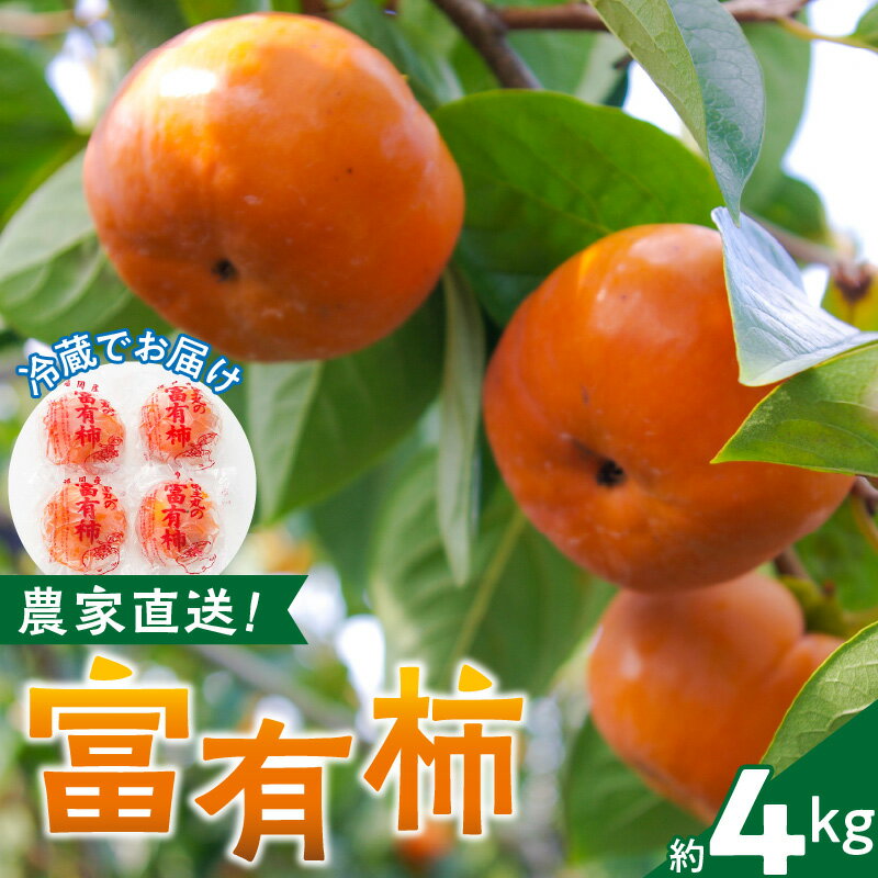 農園直送 富有柿 約 4kg 田主丸地域 旬 柿 田主丸町観光柿部会 農園 直送 国産 九州産 田主丸町産 秋の味覚 フルーツ 果物 旬のフルーツ デザート 食品 食べ物 冷蔵 お取り寄せ お取り寄せフルーツ 福岡県産 久留米市 送料無料