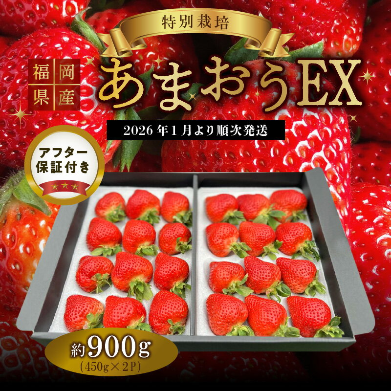 【ふるさと納税】【2026年1月より順次発送】福岡県産 あまおう 約450g×2パック エコファーマー 土づくり 化学合成農薬 化学肥料 低減 特別栽培 ギフト配送 希少価値 EX イチゴ フルーツ デザート 甘い 果汁 贈り物 果物 お取り寄せ 福岡県 久留米市 冷蔵発送 送料無料 サムネイル3