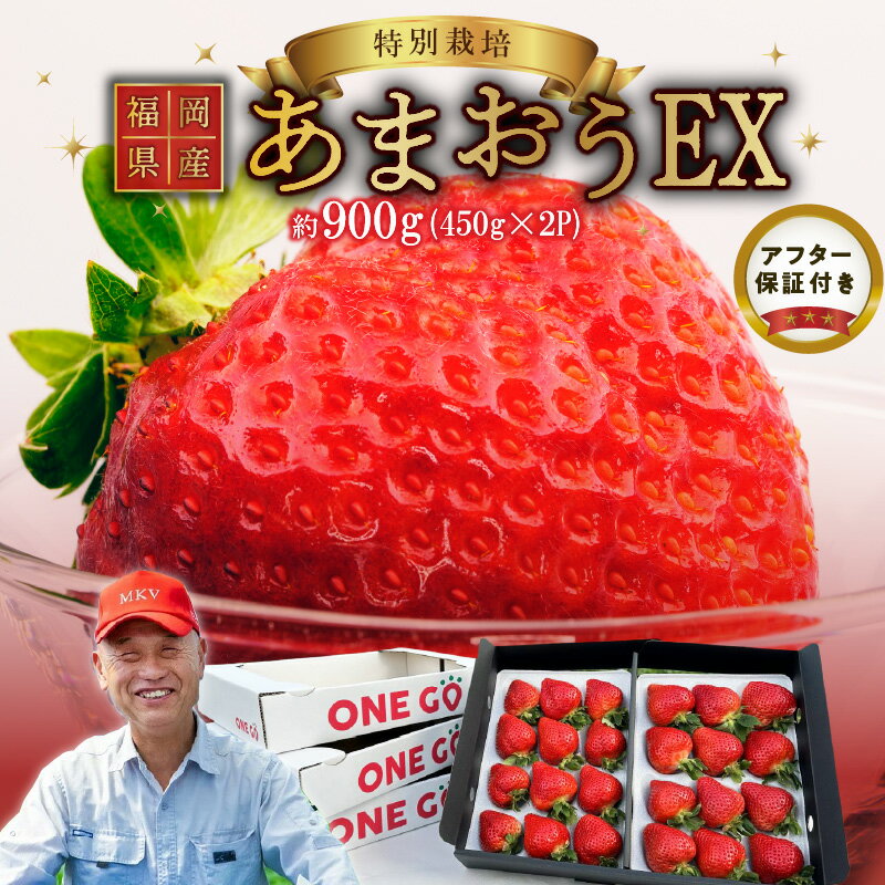 【2026年1月より順次発送】福岡県産 あまおう 約450g×2パック エコファーマー 土づくり 化学合成農薬 化学肥料 低減 特別栽培 ギフト配送 希少価値 EX イチゴ フルーツ デザート 甘い 果汁 贈り物 果物 お取り寄せ 福岡県 久留米市 冷蔵発送 送料無料
