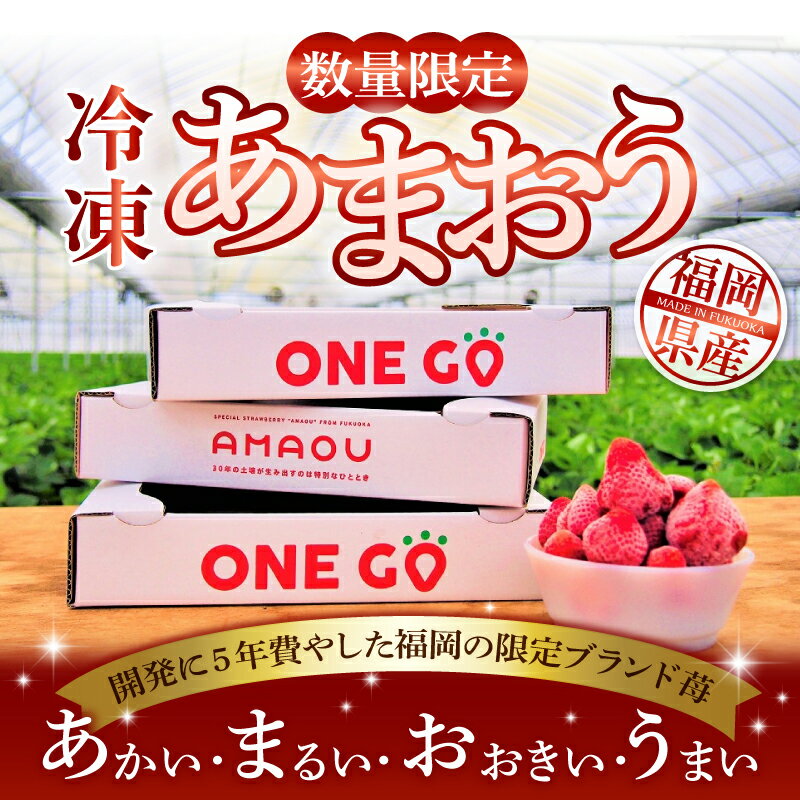 【ふるさと納税】福岡県産あまおう（冷凍1kg)　特別栽培 数量限定 急速冷凍 いちご あまおう 1kg 冷凍 3Dフリーザー 長期保存可能 国産 シャーベット フルーツ デザート 果物 便利 安心 長持ち 無添加 無香料エコファーマー GAP認定 福岡県 久留米市 送料無料 サムネイル2
