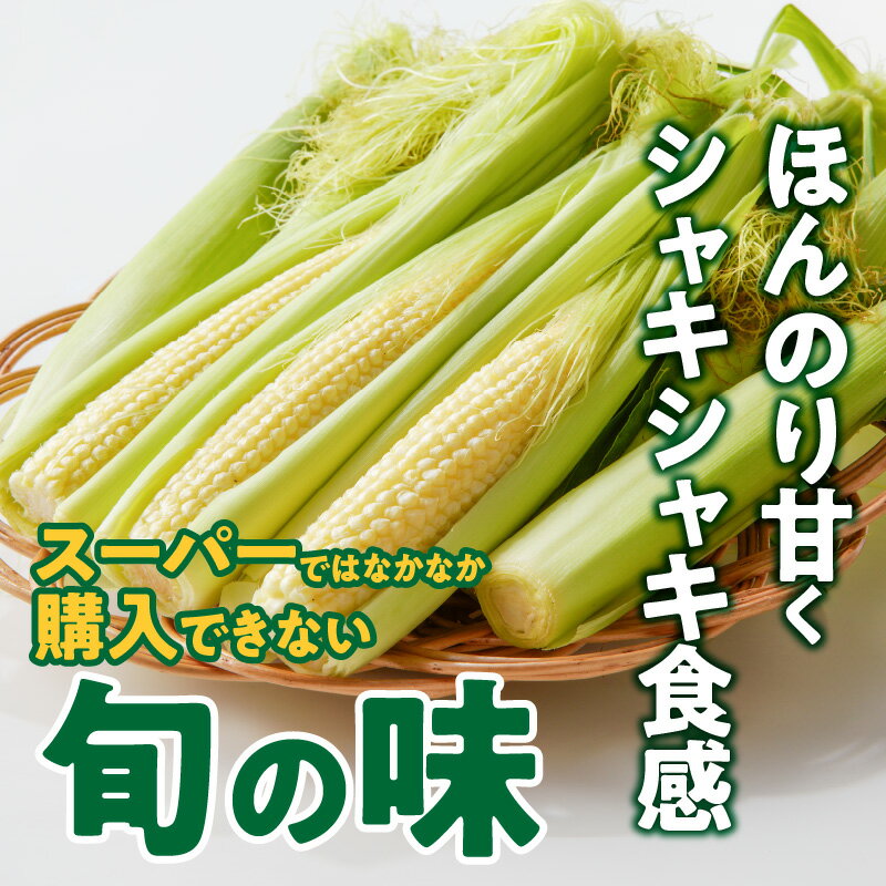 【ふるさと納税】ふくおかエコ農産物 2026年5月より順次出荷 農家直送 ベビーコーン とうもろこし 50本 メロンより 甘い プレミアムコーン シャキシャキ 食感 旬の味 八宝菜 サラダ 野菜 オーブン焼き レンチン お取り寄せ 酒見農産 福岡県 久留米市 送料無料 - 画像3