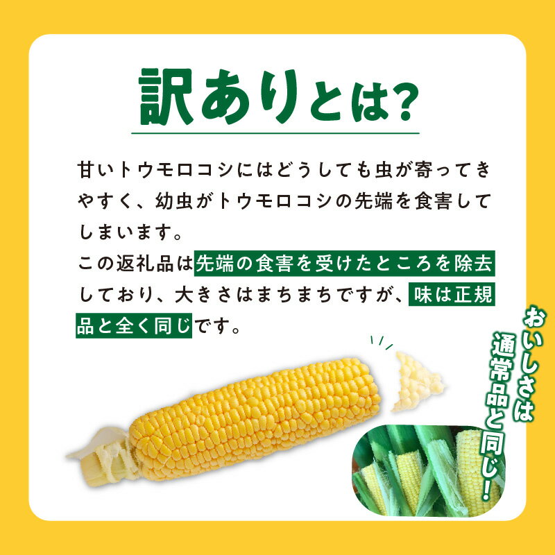 【ふるさと納税】ふくおかエコ農産物 産地直送 2026年6月より順次出荷 とうもろこし 訳あり 4.5kg 約 12本 〜 20本 メロンより甘い 博多あまっコーン 久留米産 ご家庭用 プレミアムコーン 甘い 平均糖度 20度 冷蔵配送 旬の味 野菜 酒見農産 お取り寄せ 久留米市 送料無料 サムネイル3
