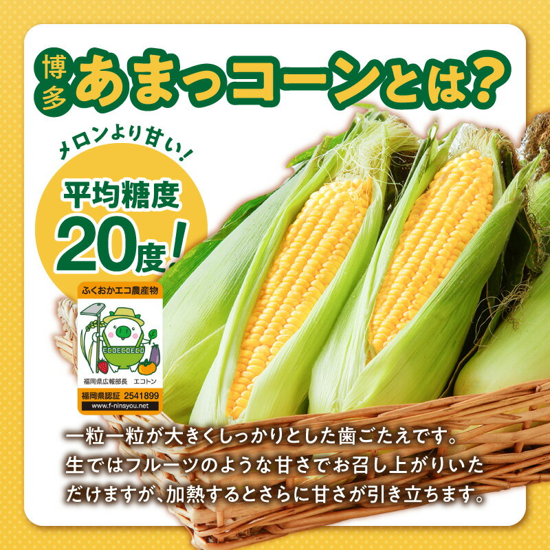 【ふるさと納税】福岡県産 糖度17度以上 博多あまっコーン ペースト 500g × 3パック 冷凍 とうもろこし 国産 メロンより甘い プレミアムコーン ふくおかエコ農産物 コーンペースト 離乳食 スープ 料理 スイーツ 野菜 酒見農産 お取り寄せ 福岡県 久留米市 送料無料 - 画像3
