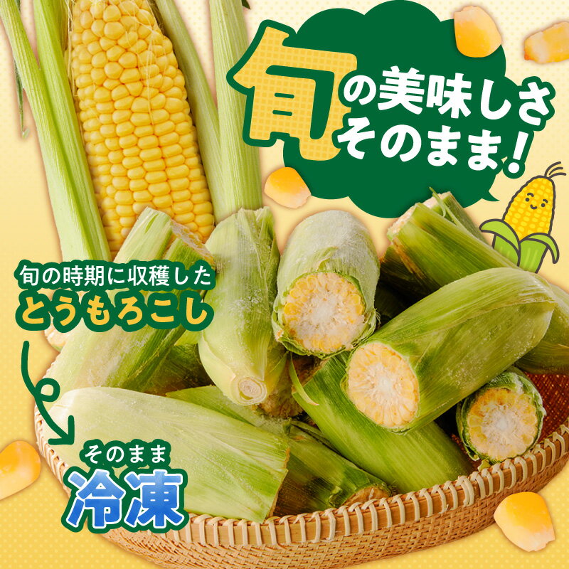 【ふるさと納税】博多あまっコーン カット 4.5キロ以上 12 ～ 20本 カット品 とうもろこし 国産 冷凍 メロンより甘い プレミアムコーン ふくおかエコ農産物 コーン フルーツのような甘さ 野菜 酒見農産 お取り寄せ 福岡県 久留米市 送料無料 - 画像2
