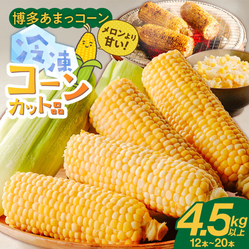 博多あまっコーン カット 4.5キロ以上 12 ～ 20本 カット品 とうもろこし 国産 冷凍 メロンより甘い プレミアムコーン ふくおかエコ農産物 コーン フルーツのような甘さ 野菜 酒見農産 お取り寄せ 福岡県 久留米市 送料無料