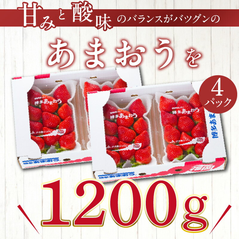 【ふるさと納税】【2026年2月より順次発送】丸茂農園の福岡県産あまおう いちご スイーツ 果物 デザート フルーツ 食べ方いろいろ ヨーグルト アイス ジャム 甘み 旬 酸味 濃厚 赤い 丸い 大きい うまい 肉厚 いちごの王様 お取り寄せ 福岡県 久留米市 広川町 送料無料 サムネイル3