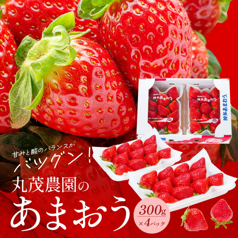 【2026年2月より順次発送】丸茂農園の福岡県産あまおう いちご スイーツ 果物 デザート フルーツ 食べ方いろいろ ヨーグルト アイス ジャム 甘み 旬 酸味 濃厚 赤い 丸い 大きい うまい 肉厚 いちごの王様 お取り寄せ 福岡県 久留米市 広川町 送料無料