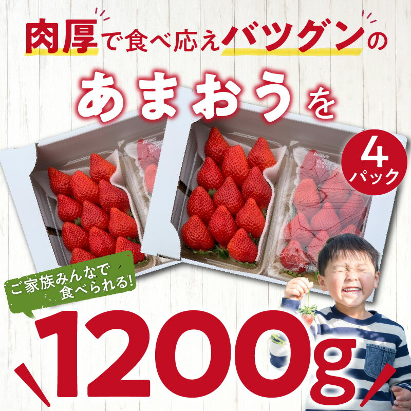 【ふるさと納税】【2026年2月より順次発送】丸徳農園 福岡県産 あまおう 300g × 4パック いちご いちごの王様 甘い 酸味 バランス 冷蔵 肉厚 大きい うまい おやつ デザート 果物 フルーツ 大人気 九州産 国産 食べ物 お取り寄せ 福岡県 久留米市 送料無料 サムネイル3