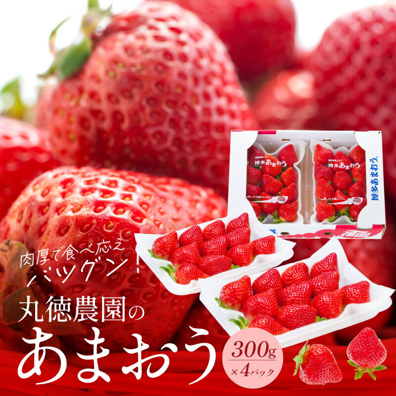 【2026年2月より順次発送】丸徳農園 福岡県産 あまおう 300g × 4パック いちご いちごの王様 甘い 酸味 バランス 冷蔵 肉厚 大きい うまい おやつ デザート 果物 フルーツ 大人気 九州産 国産 食べ物 お取り寄せ 福岡県 久留米市 送料無料