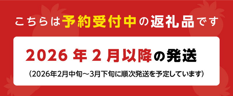 【ふるさと納税】【2026年2月より順次発送】丸徳農園 福岡県産 あまおう 300g × 4パック いちご いちごの王様 甘い 酸味 バランス 冷蔵 肉厚 大きい うまい おやつ デザート 果物 フルーツ 大人気 九州産 国産 食べ物 お取り寄せ 福岡県 久留米市 送料無料 サムネイル2