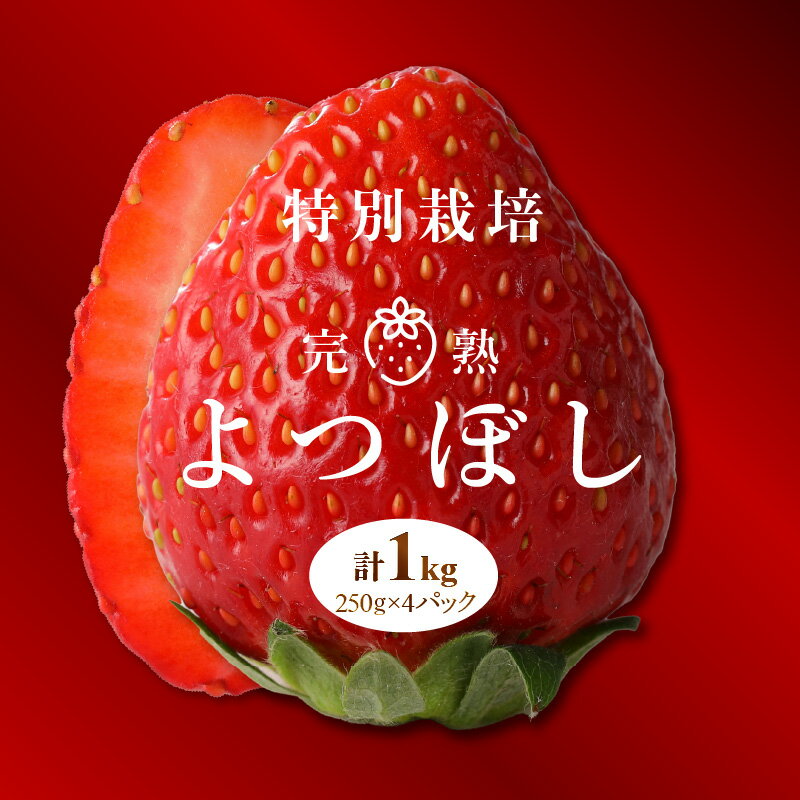 【ふるさと納税】池田農園 特別栽培 完熟 よつぼし 250g × 4パック 濃厚 甘い 安心安全 栄養価が高い 福岡エコ農産物 いちご 果物 フルーツ スイーツ いちご煮 いちごジャム スムージー おやつ ストロベリー ゆりかーご お取り寄せ 贈り物 福岡県 久留米市 送料無料 サムネイル2