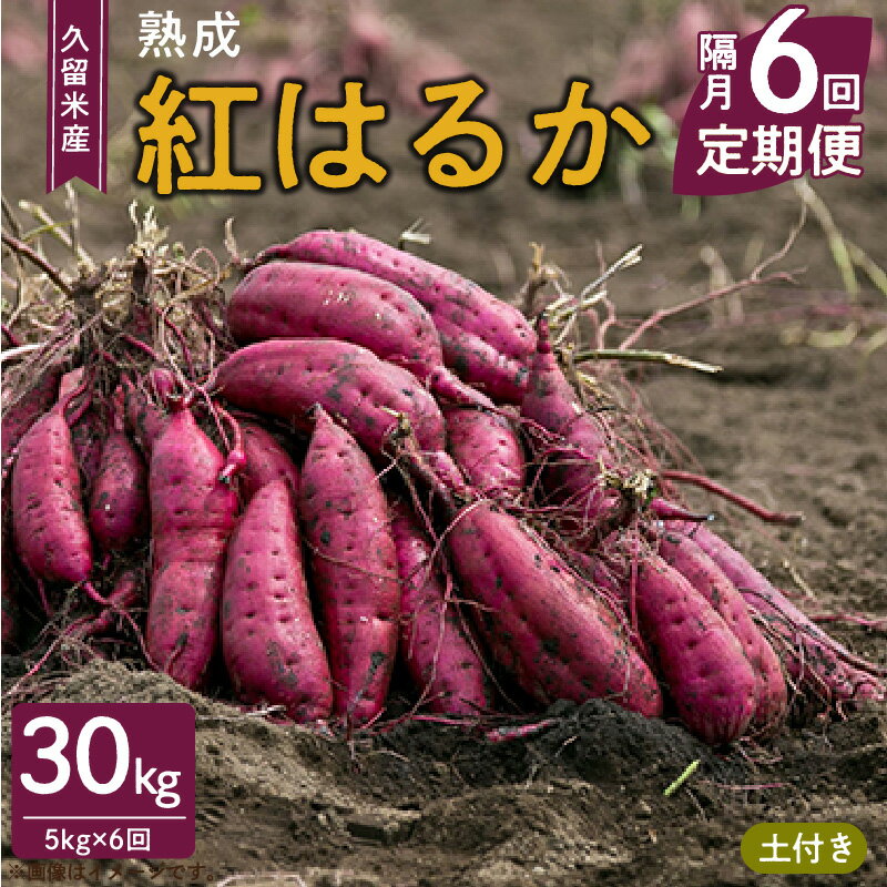 定期便 6回 久留米市産 さつまいも 紅はるか 5kg 隔月お届け 栽培期間中農薬不使用 熟成 甘い 美味しい おやつ スイーツ 常温発送 国産 九州 福岡県 久留米市 お取り寄せ お取り寄せグルメ 送料無料