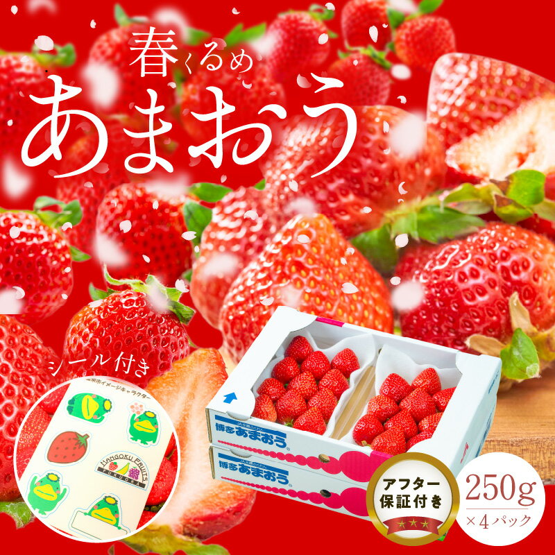 福岡産 春 あまおう 250g × 4パック 合計 1kg シール付き 冷蔵 濃厚 甘い 果汁 アフター保証 安心安全 国産 いちご 果物 アレンジ おやつ フルーツ スイーツ スムージー ジャム 南国フルーツ お取り寄せ 福岡県 久留米市 送料無料