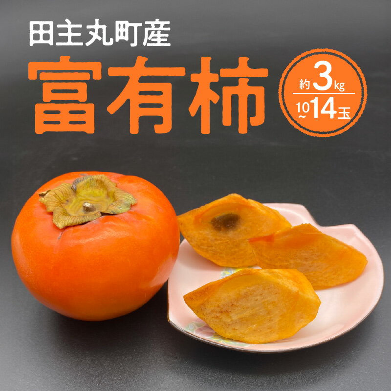 柿 甘柿 富有柿 10玉 ～ 14玉 約 3kg 柿の王様 人気 高い 国産 フルーツ 果物 高品質 天皇への献上品 秋の味覚 名産地 冷蔵 スイーツ サラダ 旬 池尻農園 福岡県 久留米市 田主丸 お取り寄せ お取り寄せフルーツ 食品 食べ物 送料無料