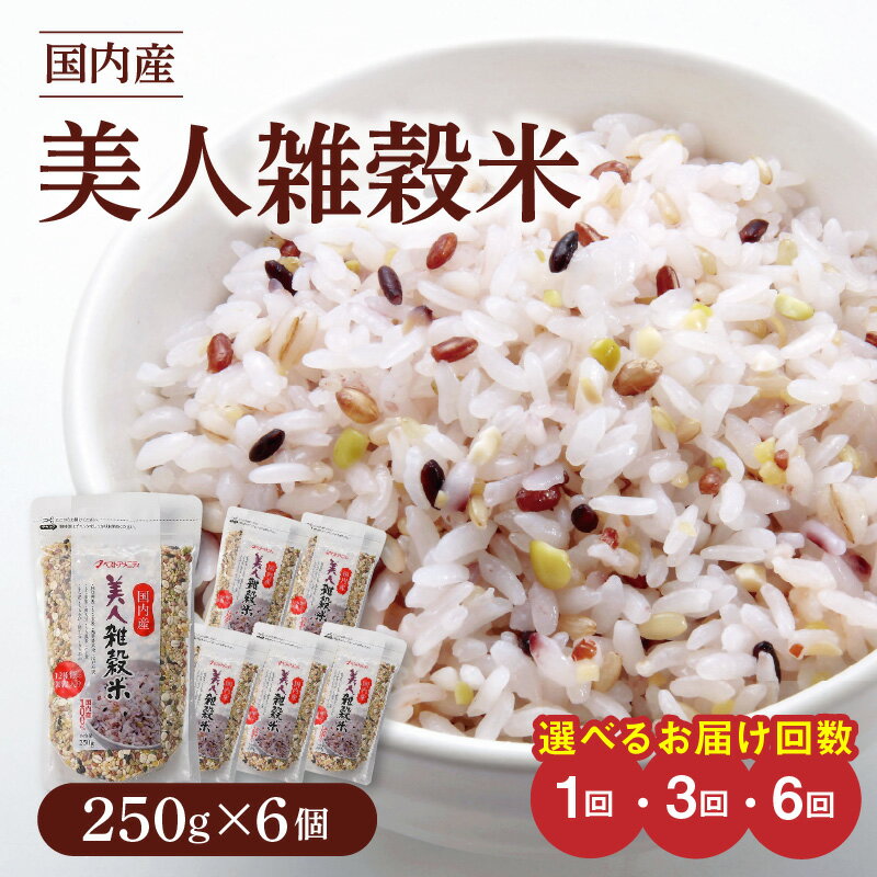 雑穀米 国内産 250g × 6個 選べる お届け回数 1回 3回 6回 美人雑穀米 雑穀 12種 ブレンド 混ぜて炊くだけ 冷めても美味しい 胚芽押麦 もち玄米 発芽 玄米 もち黒米 ハト麦 もち麦 もちきび 黒大豆 もちあわ 簡単 主食 おにぎり 弁当 ふっくら もちもち