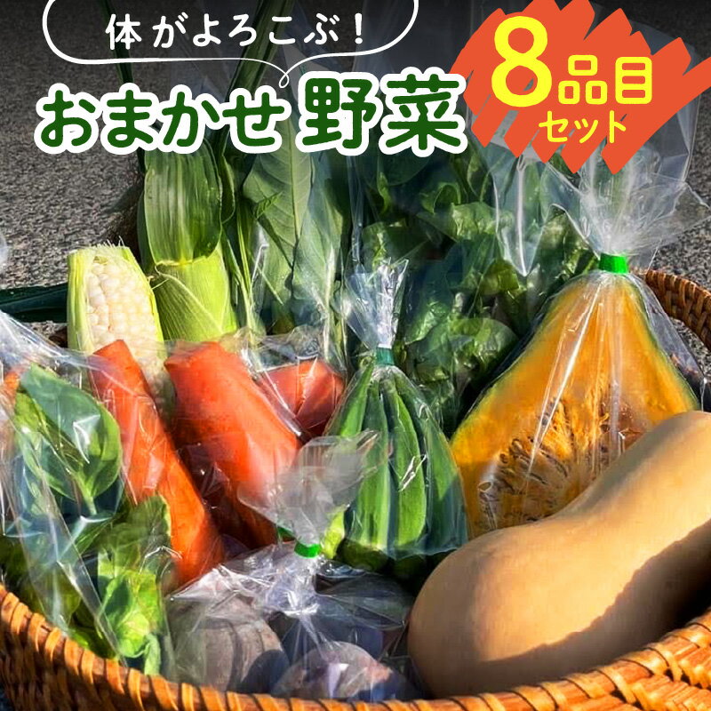 体がよろこぶ 野菜 8品目 セット おまかせ 食べ頃 旬 品種 詰め合せ 新鮮 冷蔵発送 ヤングコーン ピーマン キュウリ オクラ ナス 白ナス ミニトマト かぼちゃ 人参 パクチー ケール 黒キャベツ ブロッコリー お取り寄せ 福岡県 久留米市 送料無料