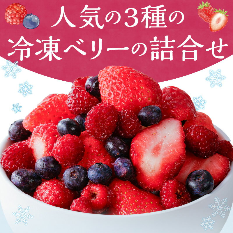 【ふるさと納税】冷凍 ベリー 3種 詰め合わせ ストロベリー 500g ラズベリー ブルーベリー 各250g 新鮮 ジャム お菓子作り おすすめ 使い方 いろいろ 果物 フルーツ 果実 食品 デザート グルメ お取り寄せ お取り寄せグルメ 福岡県 久留米市 送料無料 サムネイル2
