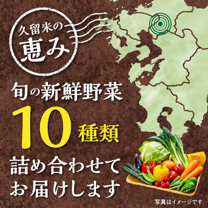 【ふるさと納税】福岡県 久留米市産 新鮮野菜 セット 10品目 約10kg 旬の野菜 詰め合わせ 新鮮 季節 野菜 水菜 小松菜 ほうれん草 アスパラ キャベツ オクラ レイシ トマト 胡瓜 ニラ 玉葱 インゲン 茄子 春菊 ブロッコリー 大根 旬 料理 久留米市 冷蔵 お取り寄せ 送料無料 - 画像2
