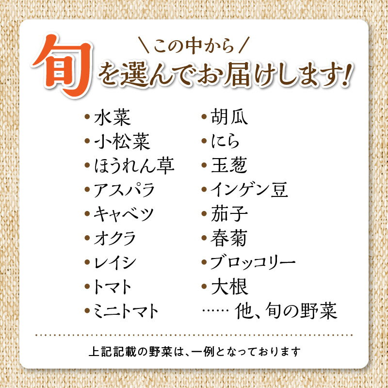【ふるさと納税】福岡県 久留米市産 新鮮野菜 セット 10品目 約10kg 旬の野菜 詰め合わせ 新鮮 季節 野菜 水菜 小松菜 ほうれん草 アスパラ キャベツ オクラ レイシ トマト 胡瓜 ニラ 玉葱 インゲン 茄子 春菊 ブロッコリー 大根 旬 料理 久留米市 冷蔵 お取り寄せ 送料無料 - 画像3