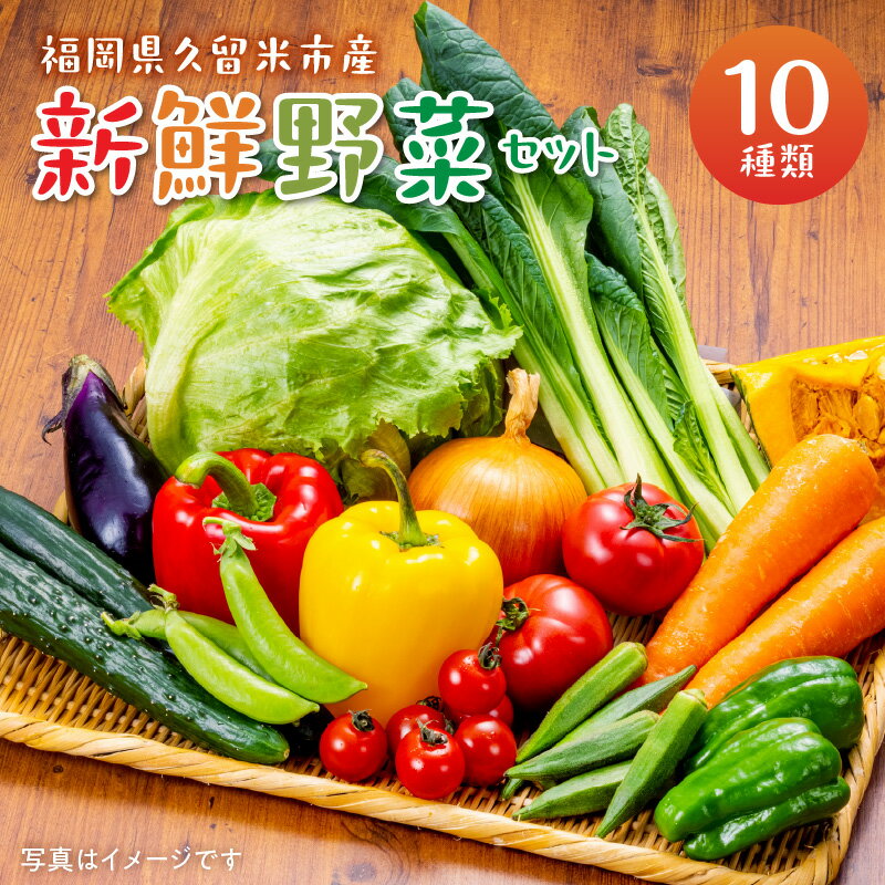 福岡県 久留米市産 新鮮野菜 セット 10品目 約10kg 旬の野菜 詰め合わせ 新鮮 季節 野菜 水菜 小松菜 ほうれん草 アスパラ キャベツ オクラ レイシ トマト 胡瓜 ニラ 玉葱 インゲン 茄子 春菊 ブロッコリー 大根 旬 料理 久留米市 冷蔵 お取り寄せ 送料無料