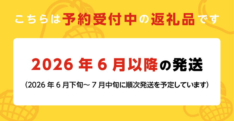【ふるさと納税】【2026年6月以降お届け】完熟マンゴー 2玉 約 1.1kg 久留米産 平均糖度 17度～18度 完熟 マンゴー 国産 フルーツ トロピカルフルーツ 果物 デザート 冷蔵 クール便 お取り寄せ お取り寄せフルーツ 福岡県 久留米市 送料無料 サムネイル2