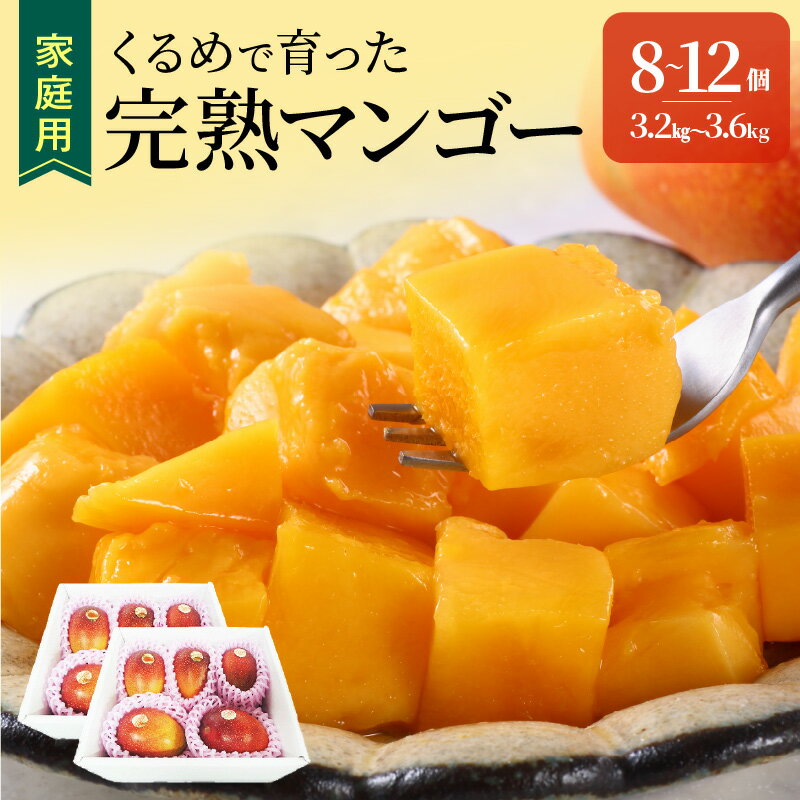 【2026年6月以降お届け】家庭用 トロ～ッと口のなかでとろける くるめで育った 完熟マンゴー 8個 〜 12個 甘い 子供も安心 フルーツ トロピカルフルーツ 果物 マンゴー 完熟 国産 ビタミンA 冷蔵 アップルマンゴー お取り寄せ 福岡県 久留米市 送料無料