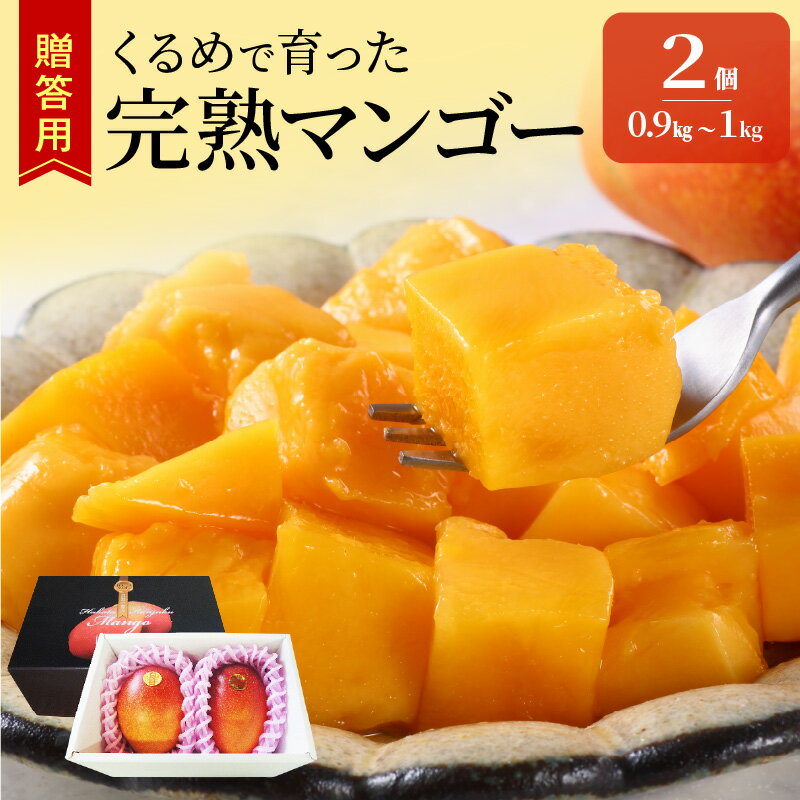 【2026年6月以降お届け】贈答用 完熟マンゴー 2個 約 0.9kg ～ 1kg 久留米産 完熟 マンゴー 国産 とろける 甘さ フルーツ トロピカルフルーツ 果物 デザート 冷蔵 クール便 倉重農園 お取り寄せ お取り寄せフルーツ 福岡県 久留米市 送料無料