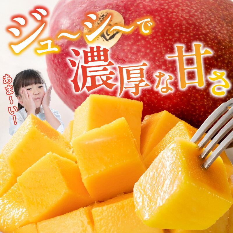 【ふるさと納税】【2026年6月以降お届け】完熟マンゴー 2玉 約 1.1kg 久留米産 平均糖度 17度～18度 完熟 マンゴー 国産 フルーツ トロピカルフルーツ 果物 デザート 冷蔵 クール便 お取り寄せ お取り寄せフルーツ 福岡県 久留米市 送料無料 サムネイル3