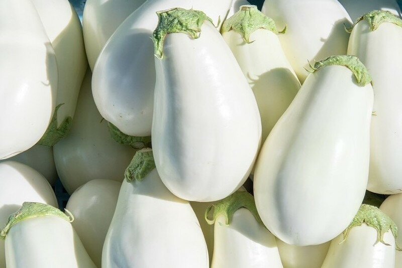 【ふるさと納税】宝石野菜 白なす 桐箱 2個入 大きい 果肉 軟らかく アクが少ない 癖がない 味が絶品 女性の顔が隠れるくらい 揚げナス 煮浸し めんつゆ トロトロ 珍しい野菜 珍しい茄子 エイチアイ株式会社 お取り寄せ ギフト 久留米市 送料無料 - 画像2