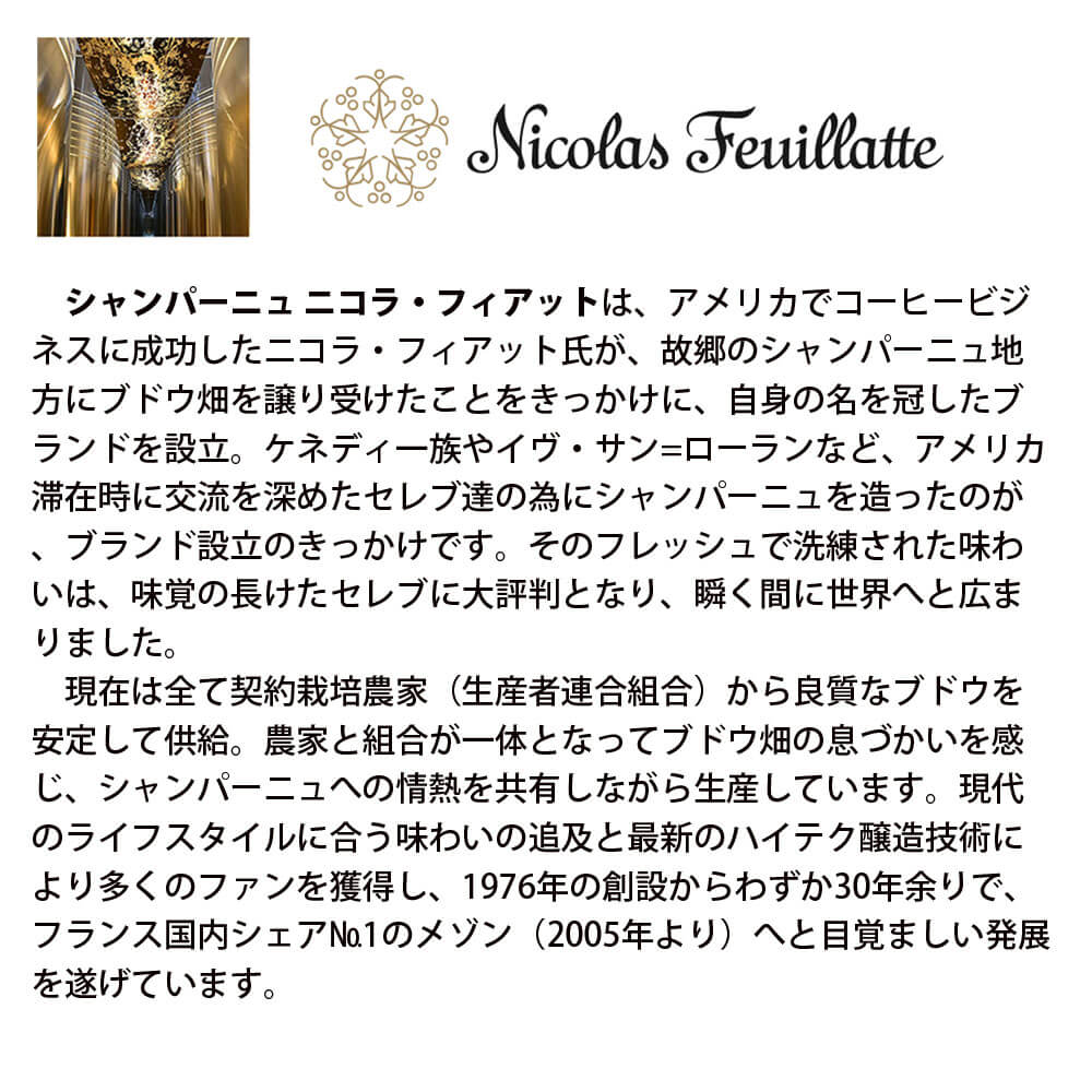 【ふるさと納税】福智山ダム熟成 シャンパン FD308 二コラ・フィアット・ブリュット 750ml×1本 シャンパーニュ 福岡県 直方市 冷蔵 送料無料 サムネイル3