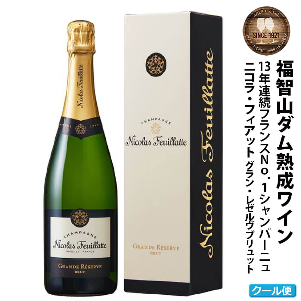 福智山ダム熟成 シャンパン FD308 二コラ・フィアット・ブリュット 750ml×1本 シャンパーニュ 福岡県 直方市 冷蔵 送料無料