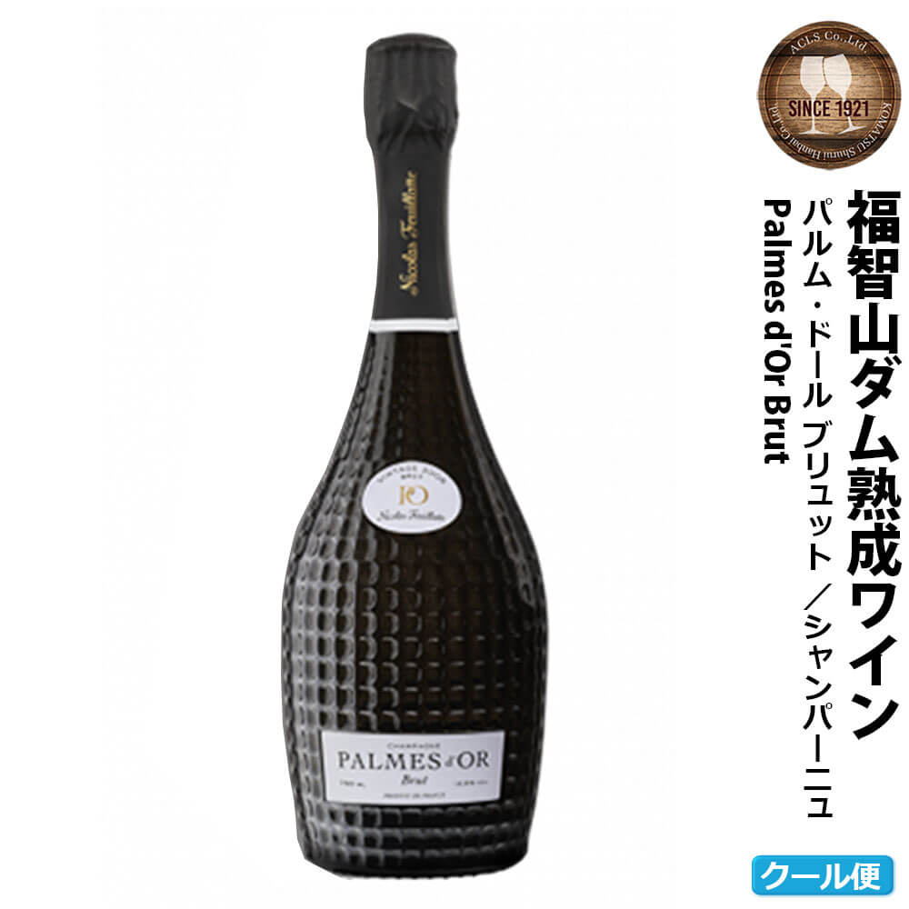 福智山ダム熟成 シャンパン FD309 750ml 1本 二コラ・フィアット パルムドール シャンパーニュ 福岡県 直方市 冷蔵 送料無料