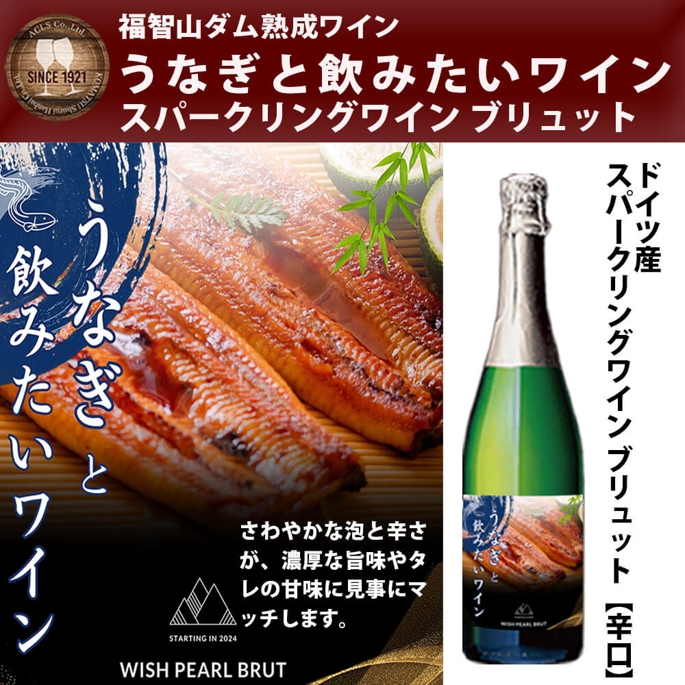 【ふるさと納税】 福智山ダム熟成 うなぎと飲みたいスパークリングワイン FD331 750ml×1本 ドイツ ゼクト ウィッシュ・パール・ブリュット スパークリングワイン ワイン お酒 アルコール 福岡県 直方市 常温 送料無料 サムネイル2