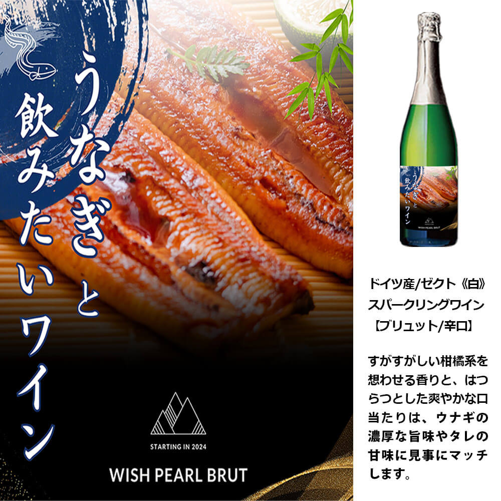 【ふるさと納税】 福智山ダム熟成 うなぎと飲みたいスパークリングワイン FD331 750ml×1本 ドイツ ゼクト ウィッシュ・パール・ブリュット スパークリングワイン ワイン お酒 アルコール 福岡県 直方市 常温 送料無料 サムネイル3