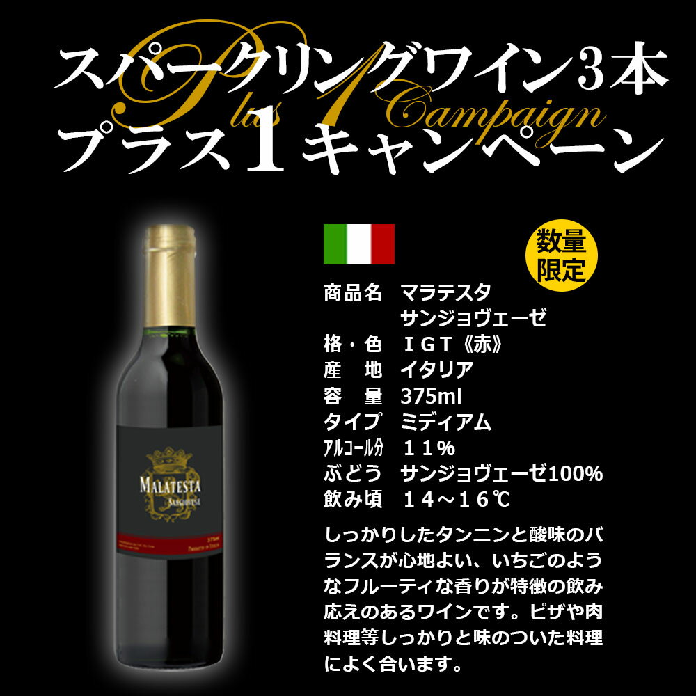 【ふるさと納税】【選べるセット】【数量・期間限定1本追加】福智山ダム熟成 スパークリングワイン 3本詰め合わせセット or スパークリングワイン 3本詰め合わせセット+イタリア産赤ワイン 375ml 14000円 FD323 ワイン 各750ml 福岡県 直方市 常温 送料無料 - 画像2
