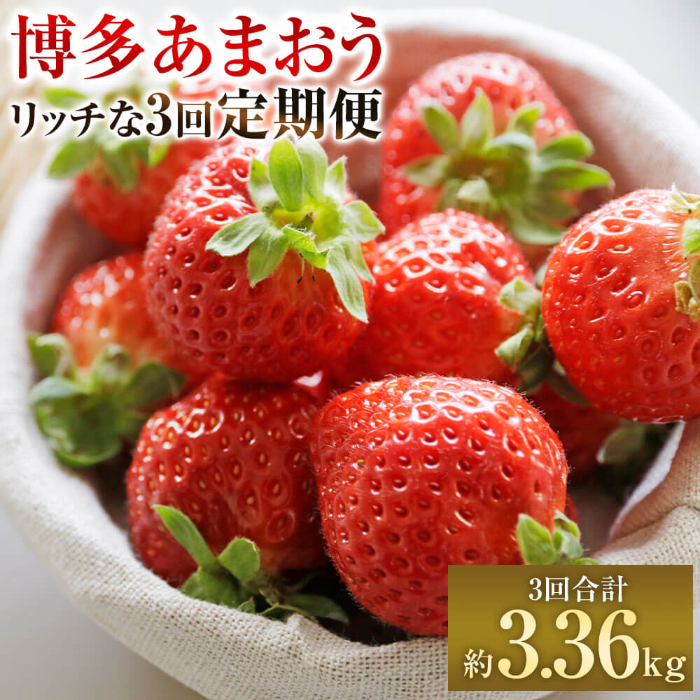 【予約】博多あまおうリッチな 3回 定期便 3回合計約3.36kg 【2025年12月上旬～2026年2月下旬発送予定】 あまおう DX デラックス 福岡県産 いちご イチゴ 苺 フルーツ 果物 くだもの お取り寄せ 九州産 国産 冷蔵 送料無料