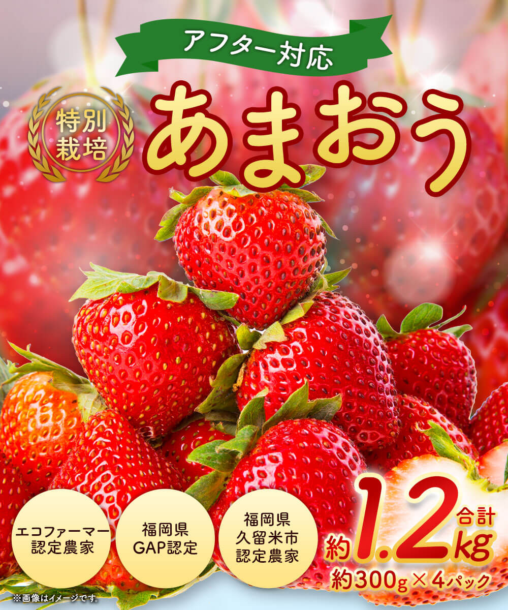 【ふるさと納税】＜予約＞【アフター対応】特別栽培 あまおう 合計約1.2kg 約300g×4パック 【2026年1月上旬～3月下旬発送予定】 福岡県産 いちご 果物 フルーツ 苺 イチゴ 九州産 国産 選べる発送月 冷蔵 送料無料 サムネイル2
