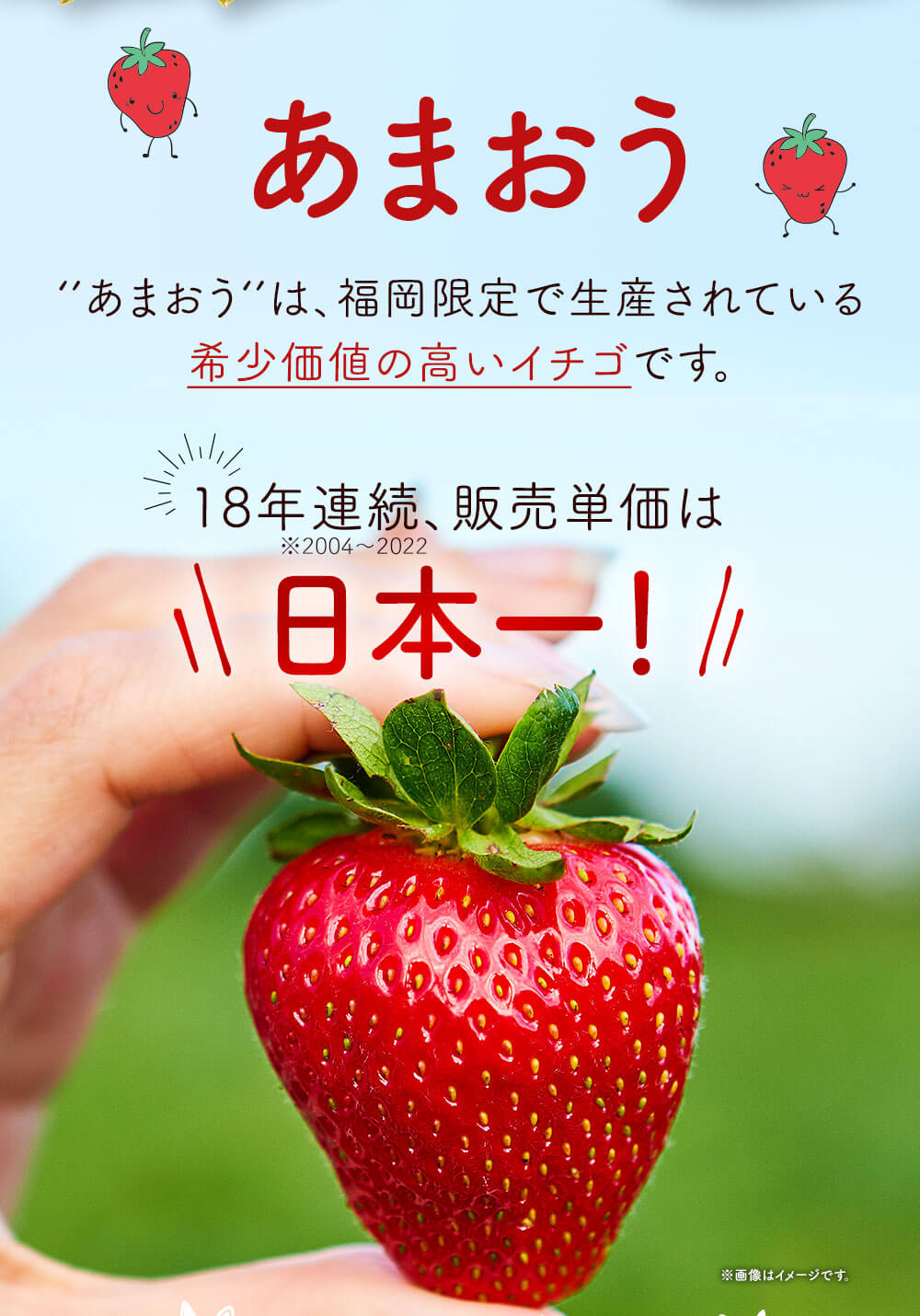 【ふるさと納税】＜予約＞【アフター対応】特別栽培 あまおう 合計約1.2kg 約300g×4パック 【2026年1月上旬～3月下旬発送予定】 福岡県産 いちご 果物 フルーツ 苺 イチゴ 九州産 国産 選べる発送月 冷蔵 送料無料 サムネイル3